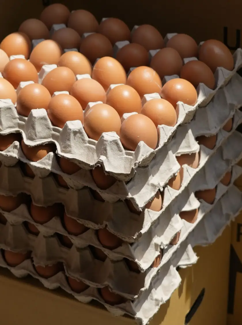 Cartelas de ovos vermelhos empilhadas em caixa de papelão